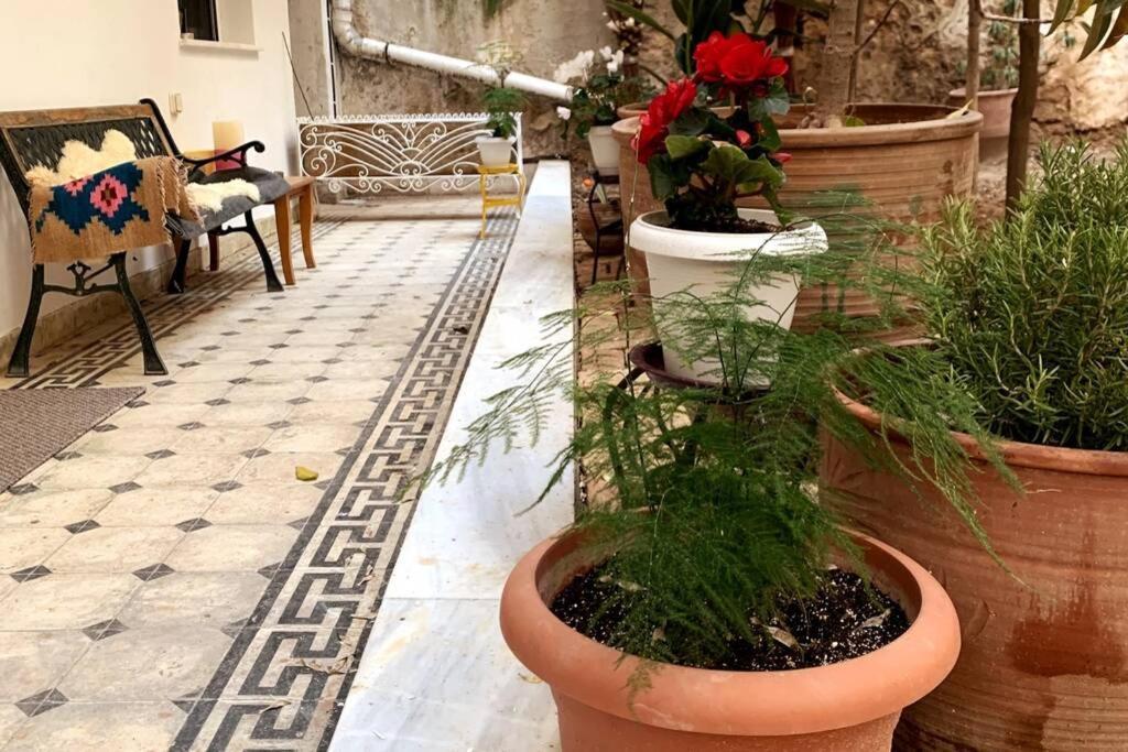 Quiet And Central Flat With Private Backyard Garden Atenas Exterior foto